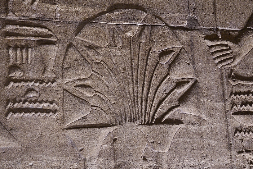 21 MAK_6467.jpg - Un rigoglioso bouquet che è un potente simbolo religioso e politico, rappresenta l’unione tra l’alto Egitto, il loto e il basso il papiro sotto il dominio del faraone e la protezione degli dei.